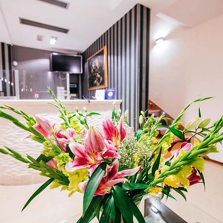 Hotel Terra 노바야 외부 사진
