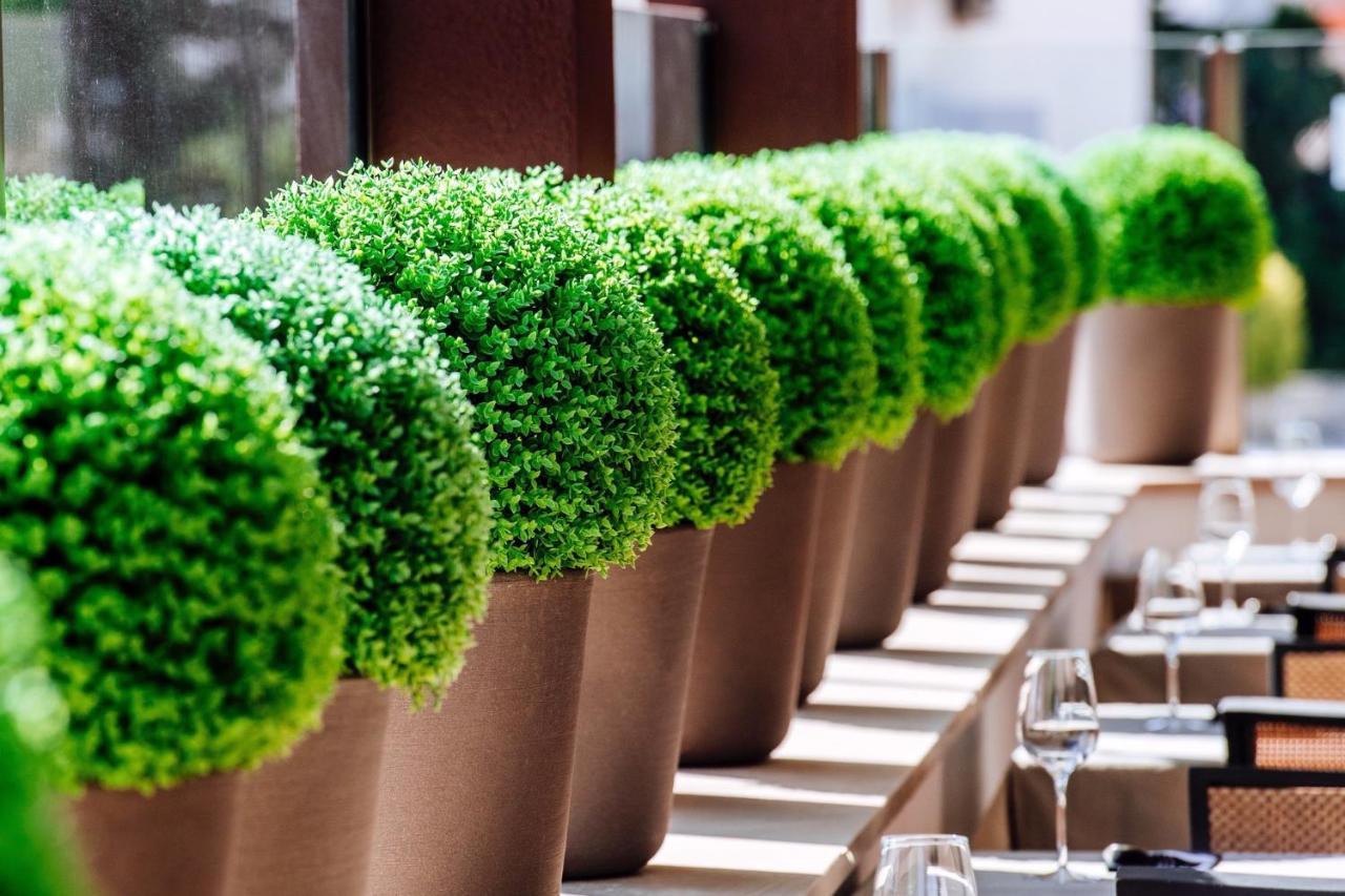 Hotel Terra 노바야 외부 사진